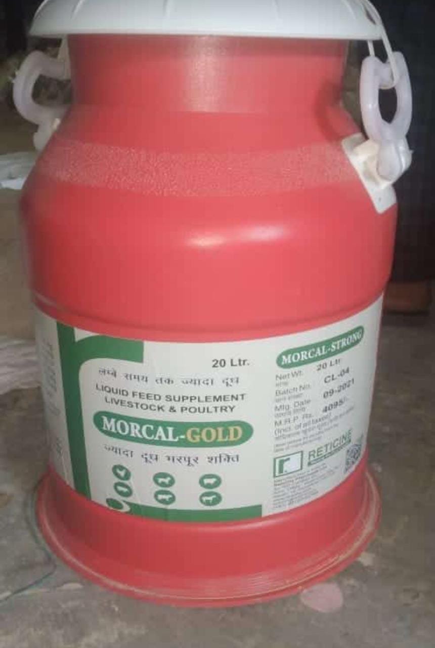 MORCAL GOLD 20 LTR